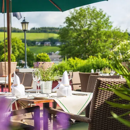 Hotel Boutique-hotel Moseltor Traben-Trarbach
