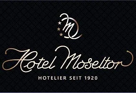 Hotel Boutique-hotel Moseltor Traben-Trarbach