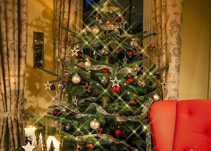 酒店 Boutique-hotel Moseltor 3*