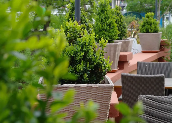 Boutique-hotel Moseltor 酒店 特拉本特拉巴赫